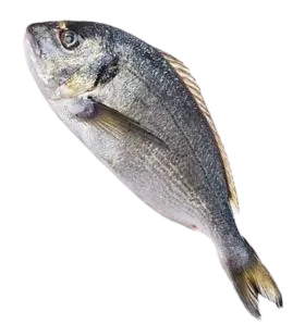 Foodstuff Suppliers in UAE