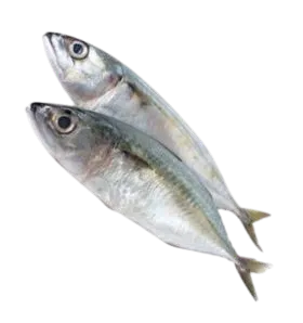 Foodstuff Suppliers in UAE