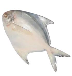 Foodstuff Suppliers in UAE