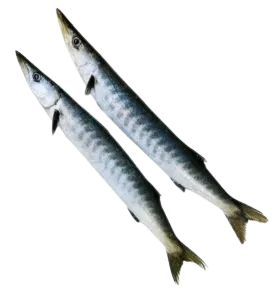 Foodstuff Suppliers in UAE