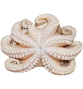 Foodstuff Suppliers in UAE