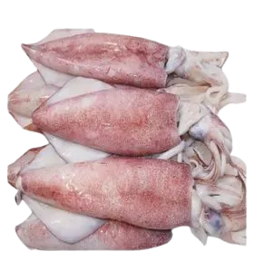 Foodstuff Suppliers in UAE