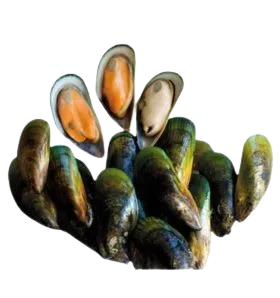 Foodstuff Suppliers in UAE