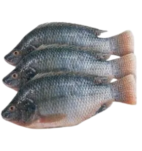 Foodstuff Suppliers in UAE