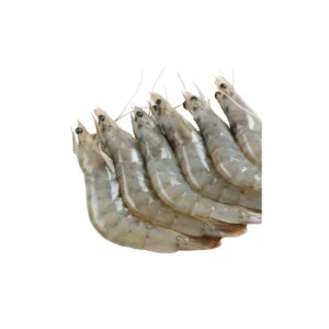 Shrimps 20/30 Sea White