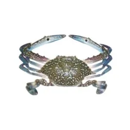 Crab suppliers in UAE
