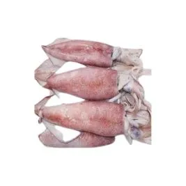 Squid suppliers in UAE