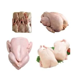 Poultry suppliers in UAE