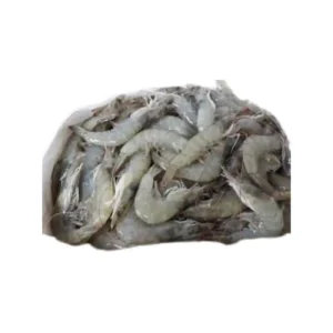 Ecuador Shrimps 30/40 suppliers in UAE