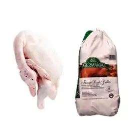 Frozen Whole Duck suppliers in UAE
