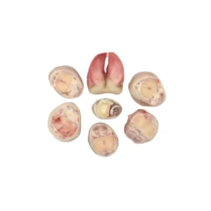 Frozen Beef Feet Masterboi brand Brazil