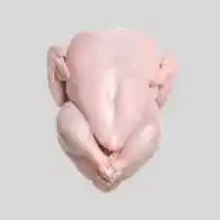 Poultry products suppliers in UAE