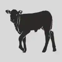 Foodstuff Suppliers in UAE