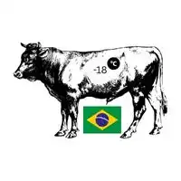Frozen Brazil Beef suppliers in UAE
