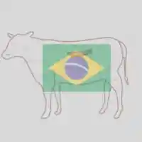 Foodstuff Suppliers in UAE