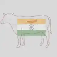 Foodstuff Suppliers in UAE