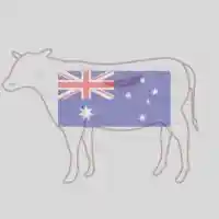 Foodstuff Suppliers in UAE