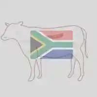 Foodstuff Suppliers in UAE