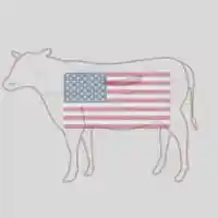 Foodstuff Suppliers in UAE