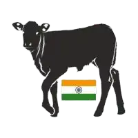 Indian Veal meat suppliers in UAE