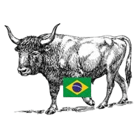 Brazil OX meat suppliers in UAE