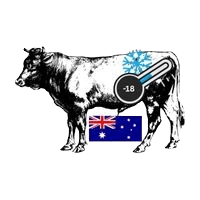 Frozen Australian Beef suppliers in UAE