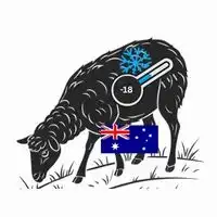 Frozen Australian Sheep suppliers in UAE