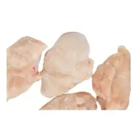 Chicken Tender Breast suppliers in UAE